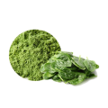 Wholesales Factory Price Organic Spinach Juice Powder